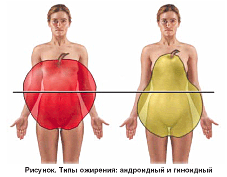 ГИРУДОТЕРАПИЯ ДЛЯ ПОХУДЕНИЯ